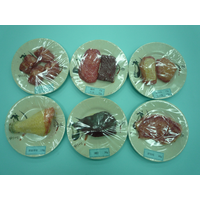 食品模型(肉類6盤)

1盒